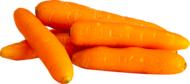 BIO-Snackkarotten LaWi der Zukunft