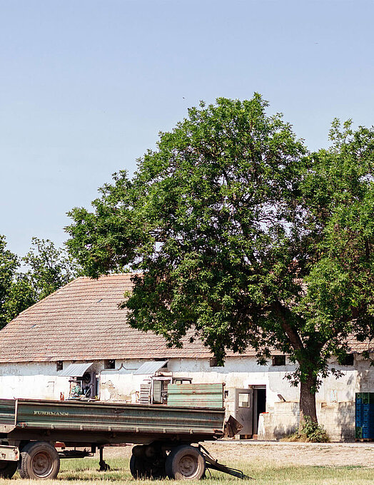 BIO-Hof Csardahof