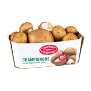 BIO-Champignons