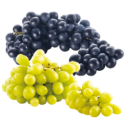 BIO-Tafeltrauben
