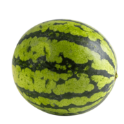 BIO-Mini Wassermelone