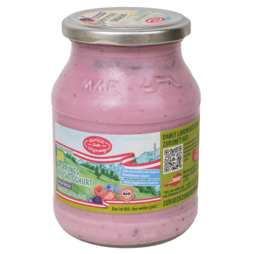 BIO-Ursprungsjoghurt Waldfrucht im Mehrwegglas