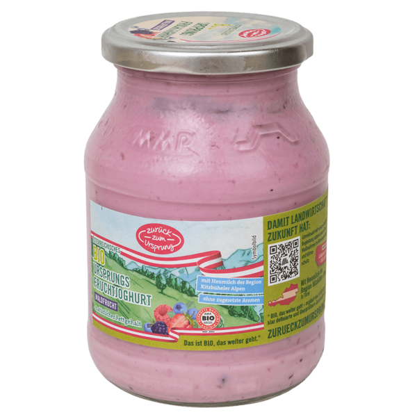 BIO-Ursprungsjoghurt Waldfrucht im Mehrwegglas