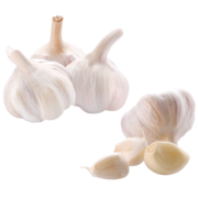 BIO-Knoblauch