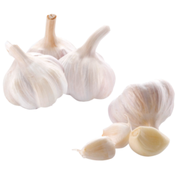 BIO-Knoblauch
