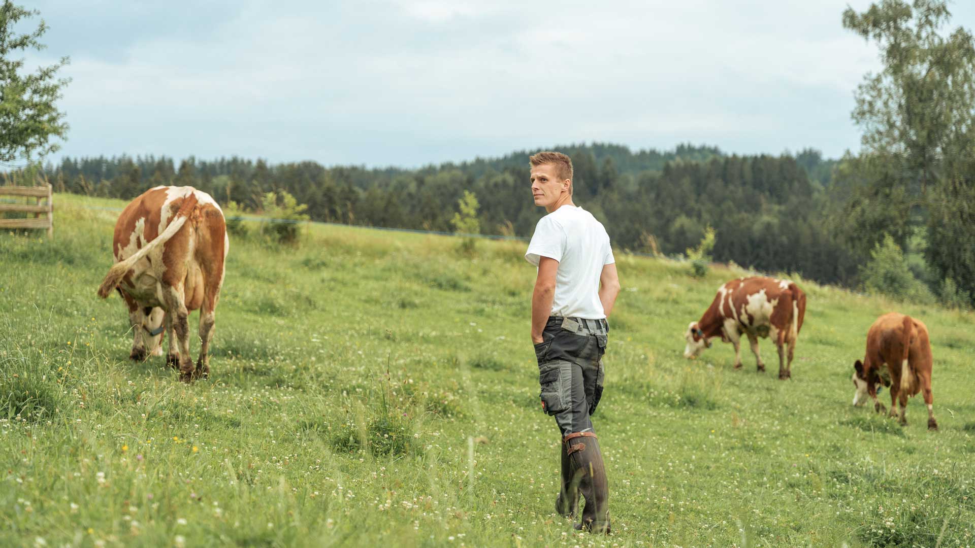bio-heumilch-kuehe-unterkitzbauerngut.jpg Bio-Heumilchkühe am Unterkitzbauerngut in St. Johann